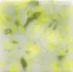 1432998_1.jpg
