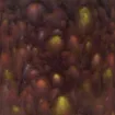 1433004.jpg