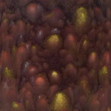 1433004.jpg
