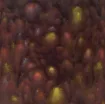1433004_1.jpg
