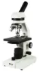 SS154037_1.jpg