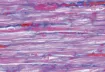 529434_1.jpg