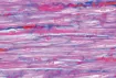 SS142451_1.jpg
