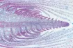SS142453_1.jpg