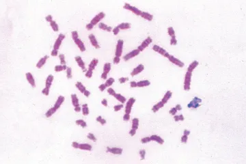 529440.jpg