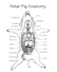 530457_2.jpg