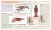 SS142700_1.jpg