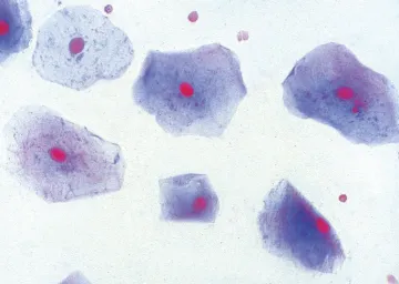 565802.jpg