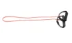 SS161111_1.jpg