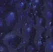 1432956_1.jpg