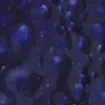 1432956.jpg