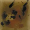 SS156103_1.jpg