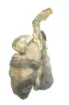 596889_1.jpg