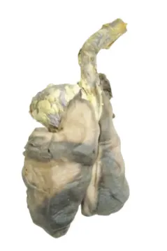 596889_1.jpg