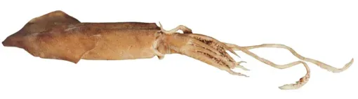 2041229_2.jpg