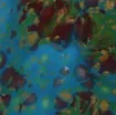2041209_1.jpg