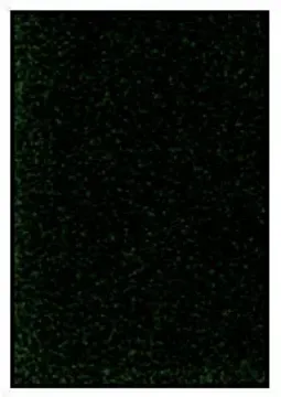 405177.jpg