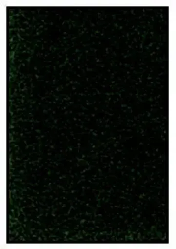 405177.jpg