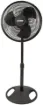 SS154446_1.jpg