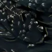 SS140011_1.jpg