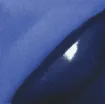 402812_1.jpg