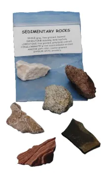 1399920.jpg