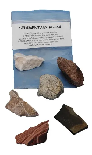 1399920.jpg