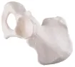 SS147769_1.jpg
